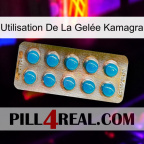 Utilisation De La Gelée Kamagra new09